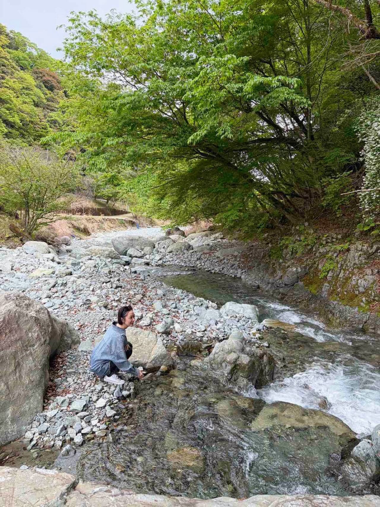 sayakaichii on April 21, 2026: "いいとこみーつけた！