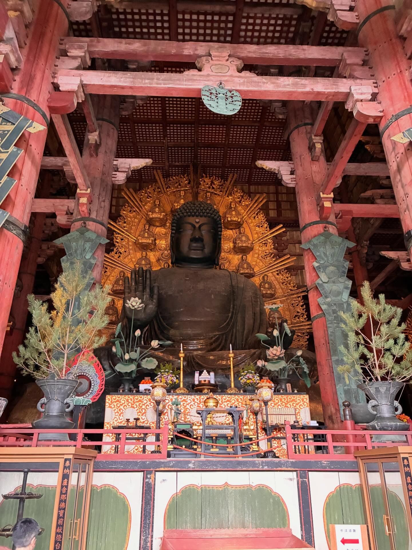 sayakaichii on April 25, 2026: "取材で奈良、和歌山、京都にお邪魔しました